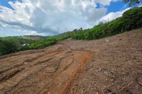 Terrain à Ko Samui, Thaïlande 12028 m2 № 159209 - photo 6