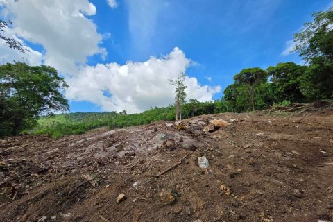 Terrain à Ko Samui, Thaïlande 12028 m2 № 159209 - photo 7