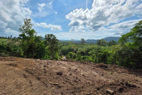Terrain à Ko Samui, Thaïlande 12028 m2 № 159209 - photo 5