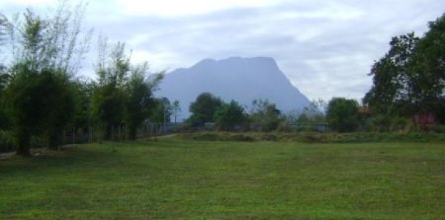 Terrain à Chiang Dao, Thaïlande 248 m2 № 192802
