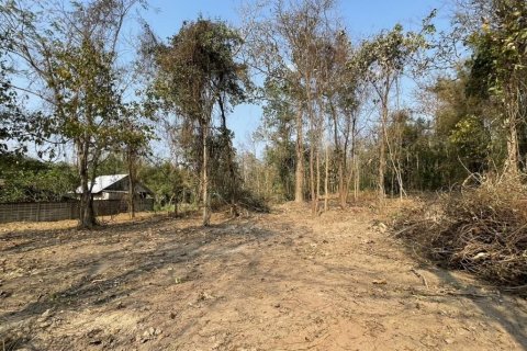 Земельный участок в Мае Риме, Таиланд 3200м2  № 149810 - фото 5