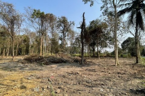 Земельный участок в Мае Риме, Таиланд 3200м2  № 149810 - фото 4