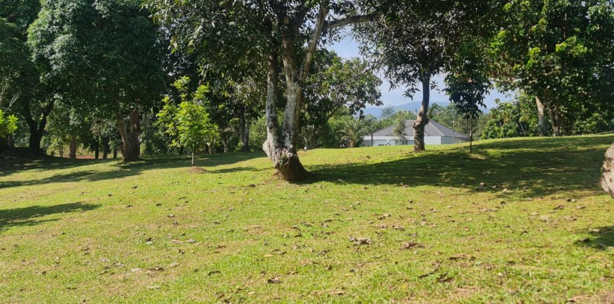 Land in Chiang Rai, Thailand 1600 sq.m. № 156911