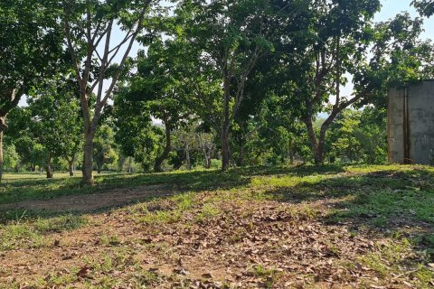 Land in Chiang Rai, Thailand 1600 sq.m. № 156911 - photo 28