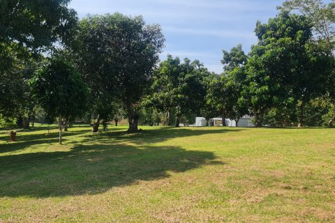 Land in Chiang Rai, Thailand 1600 sq.m. № 156911 - photo 4