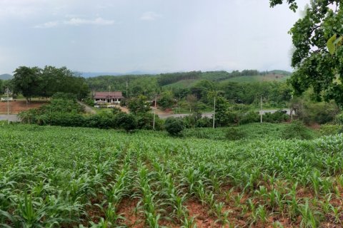 Земельный участок в Нане, Таиланд 22400м2  № 151571 - фото 3