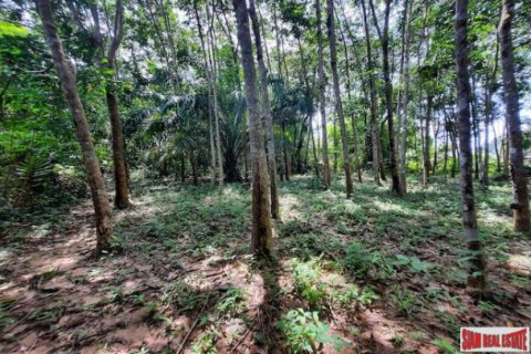 Land in Krabi, Thailand 3672 sq.m. № 193955 - photo 3