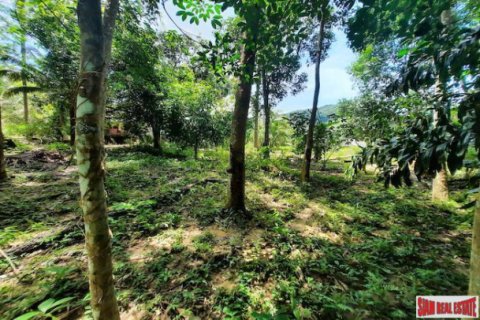 Land in Krabi, Thailand 3672 sq.m. № 193955 - photo 5