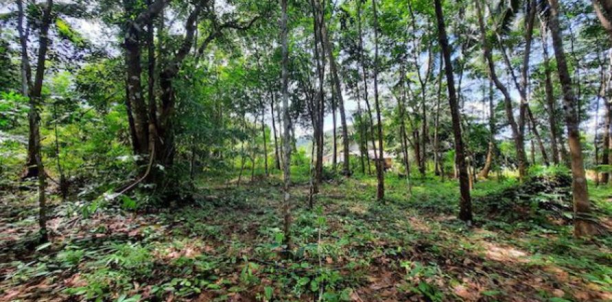 Land in Krabi, Thailand 3672 sq.m. № 193955
