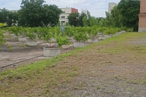 Land in Nakhon Ratchasima, Thailand 17600 sq.m. № 171195 - photo 3