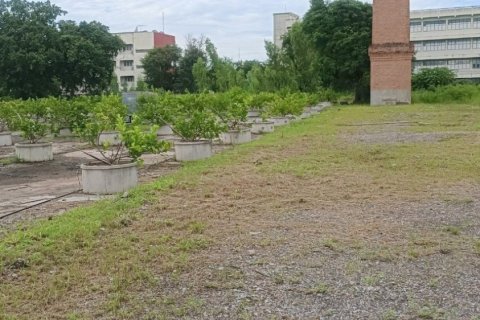 Land in Nakhon Ratchasima, Thailand 17600 sq.m. № 171195 - photo 2