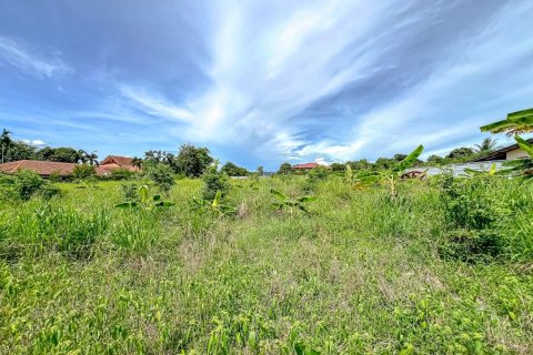 Land in Pattaya, Thailand 8000 sq.m. № 163523 - photo 3