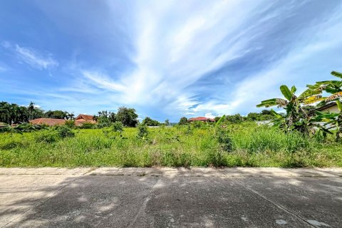 Land in Pattaya, Thailand 8000 sq.m. № 163523
