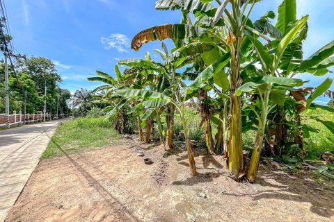 Land in Pattaya, Thailand 8000 sq.m. № 163523 - photo 4