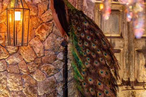 Квартира в Паттайе, Таиланд с 2 комнатами  № 144395 - фото 22