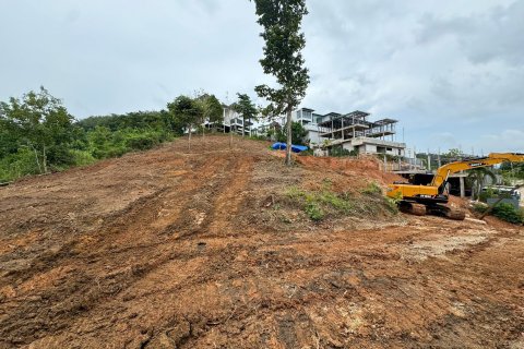 Terrain à Phuket, Thaïlande 3716.8 m2 № 154806 - photo 2