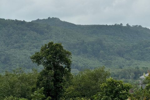 Terrain à Phuket, Thaïlande 3716.8 m2 № 154806 - photo 3