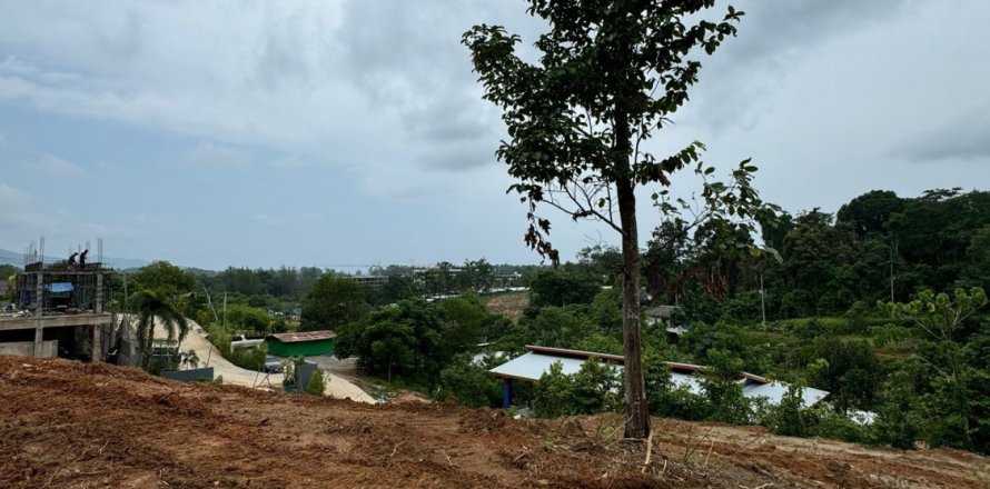 Terrain à Phuket, Thaïlande 3716.8 m2 № 154806