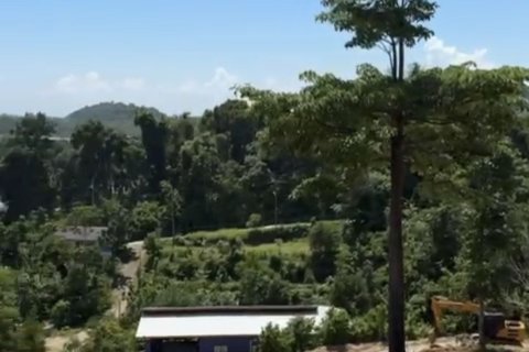 Terrain à Phuket, Thaïlande 3716.8 m2 № 154806 - photo 5