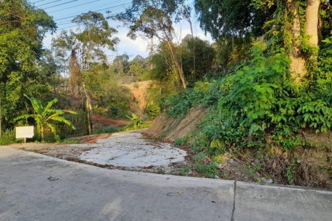 Terrain à Phuket, Thaïlande 25600 m2 № 135473 - photo 4