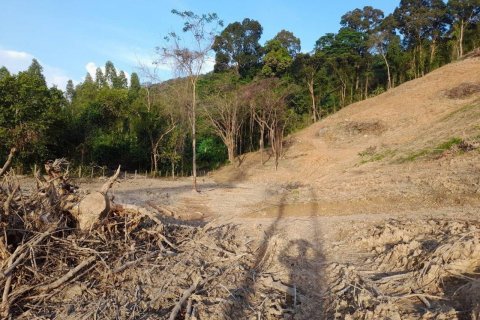 Terrain à Phuket, Thaïlande 25600 m2 № 135473 - photo 7