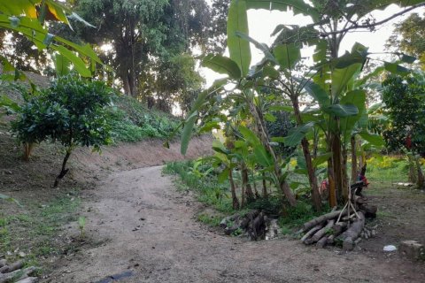 Terrain à Phuket, Thaïlande 25600 m2 № 135473 - photo 3