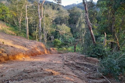 Terrain à Phuket, Thaïlande 25600 m2 № 135473 - photo 5