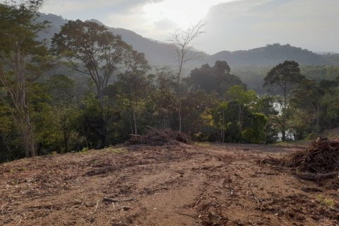 Terrain à Phuket, Thaïlande 25600 m2 № 135473 - photo 8