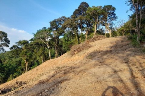 Terrain à Phuket, Thaïlande 25600 m2 № 135473 - photo 6