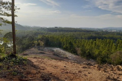 Terrain à Phuket, Thaïlande 25600 m2 № 135473 - photo 1