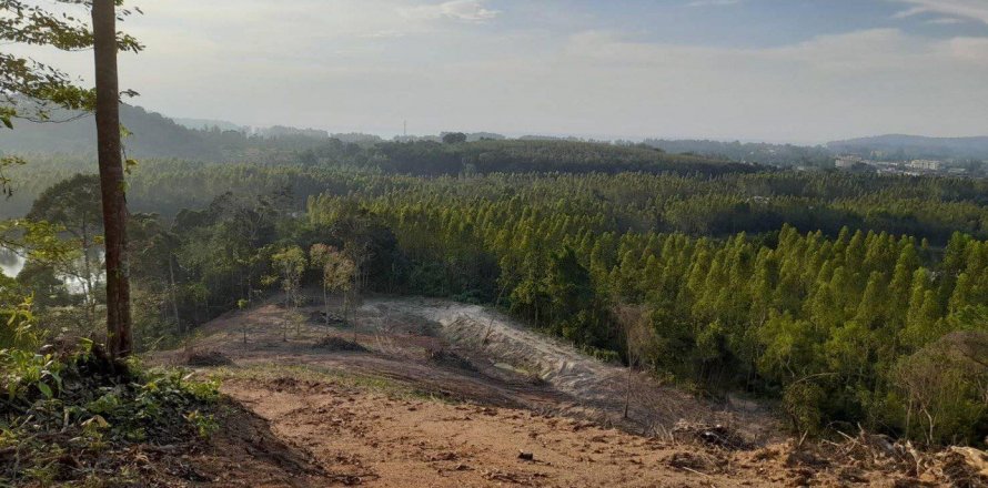 Terrain à Phuket, Thaïlande 25600 m2 № 135473