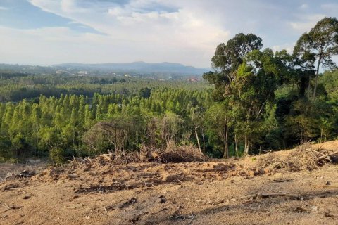 Terrain à Phuket, Thaïlande 25600 m2 № 135473 - photo 2