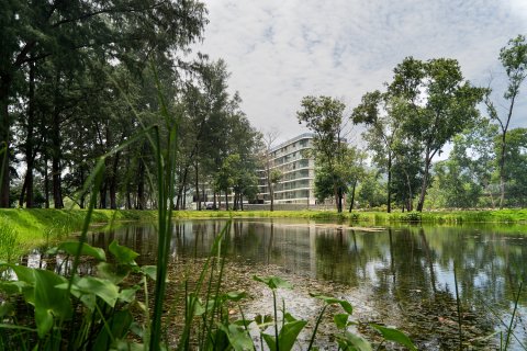 Apartment in Pattaya, Thailand 3 rooms № 161036 - photo 13