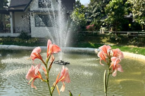 Студия в кондо в Чиангмае, Таиланд № 161147 - фото 2