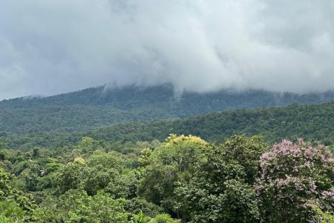 Студия в кондо в Чиангмае, Таиланд № 161147 - фото 16