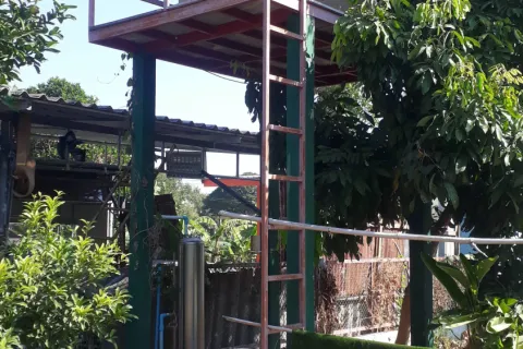 House in Nakhon Ratchasima, Thailand 5 bedrooms № 157217 - photo 6