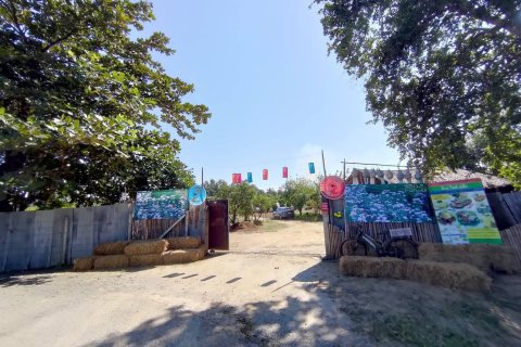 Terrain à Mae Rim, Thaïlande 4800 m2 № 173666 - photo 7