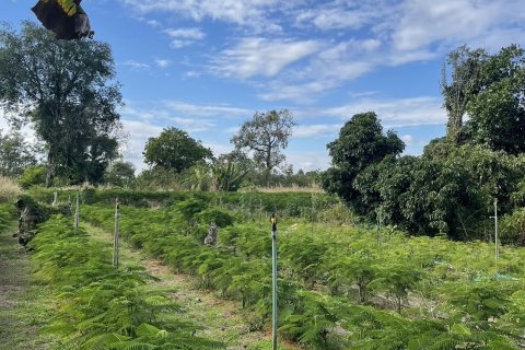 Land in Prachin Buri, Thailand 29836 sq.m. № 159281 - photo 5