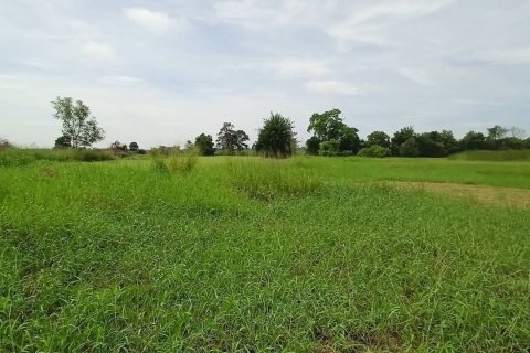 Land in Nakhon Ratchasima, Thailand 36800 sq.m. № 173840 - photo 5