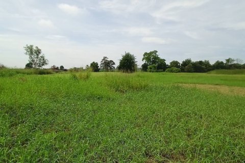 Land in Nakhon Ratchasima, Thailand 36800 sq.m. № 173840 - photo 3
