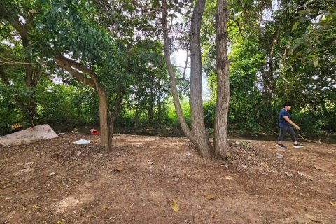 Terrain à Maha Sarakham, Thaïlande 4168 m2 № 173362 - photo 4