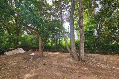 Terrain à Maha Sarakham, Thaïlande 4168 m2 № 173362 - photo 5