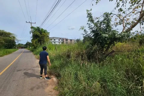 Terrain à Maha Sarakham, Thaïlande 4168 m2 № 173362 - photo 2