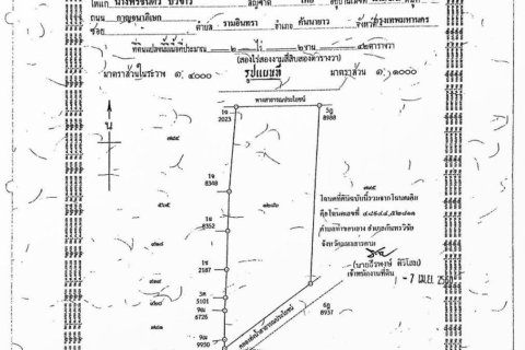 Terrain à Maha Sarakham, Thaïlande 4168 m2 № 173362 - photo 8