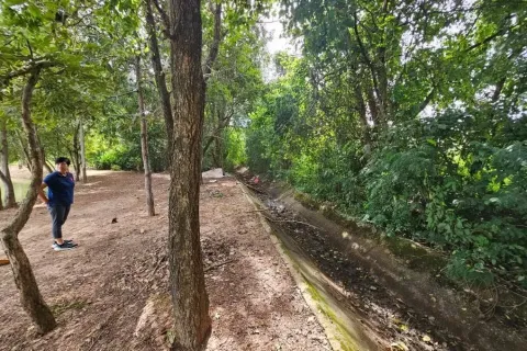 Terrain à Maha Sarakham, Thaïlande 4168 m2 № 173362 - photo 3