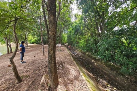 Terrain à Maha Sarakham, Thaïlande 4168 m2 № 173362 - photo 6