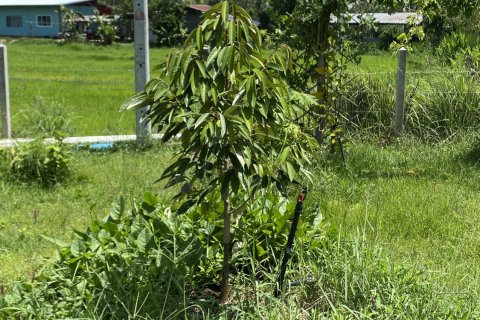 Villa in Surin, Thailand 2 bedrooms № 137884 - photo 16