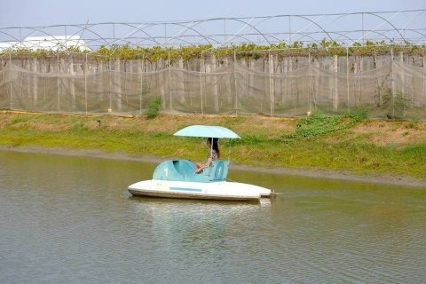 Hotel in Phetchaburi, Thailand № 168922 - photo 16