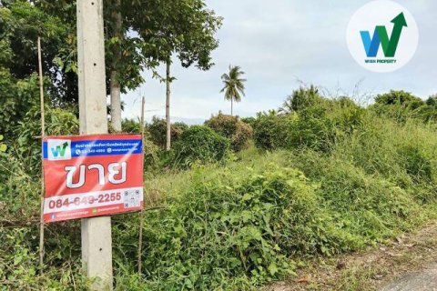 Land in Chai Nat, Thailand 4900000 sq.m. № 160411 - photo 8