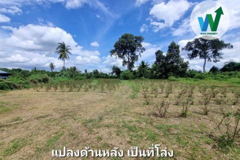 Land in Chai Nat, Thailand 4900000 sq.m. № 160411 - photo 10